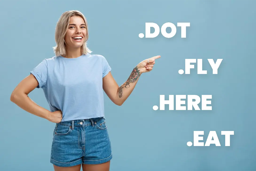 Logo Portfolio RegZone roste: Získejte nové TLD .DOT, .FLY, .HERE a .EAT
